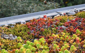 the cost of Trotten Marsh green roof installation