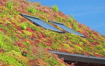 Trotten Marsh living roof systems