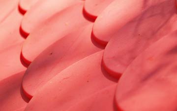 Trotten Marsh plastic roof costs