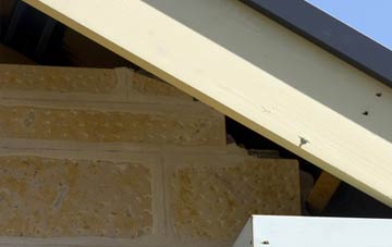 soffit repair Trotten Marsh