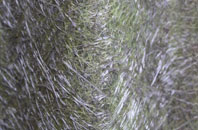 Trotten Marsh fibreglass roof work