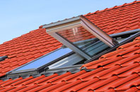 Trotten Marsh roof window